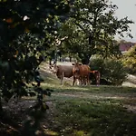 Rosenschaenke