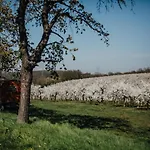فندق Rosenschaenke Kreischa