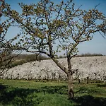 فندق Rosenschaenke Kreischa