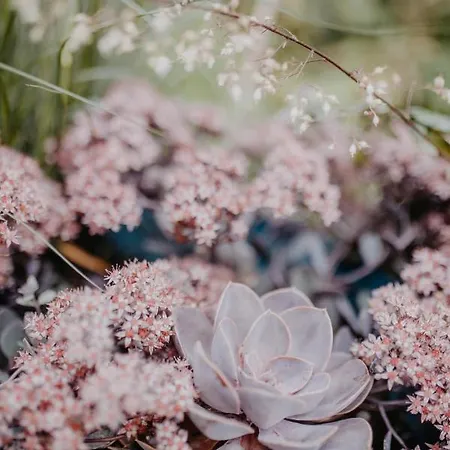 Landhotel Rosenschanke Hotel Kreischa