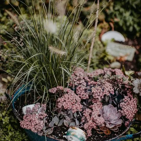 Landhotel Rosenschanke Hotel 3*