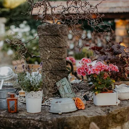 Hotel Landhotel Rosenschanke 3*