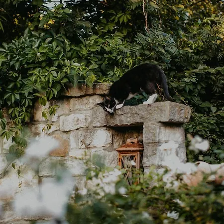 Landhotel Rosenschanke Hotel Kreischa