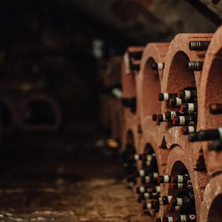 Rosenschaenke מלון