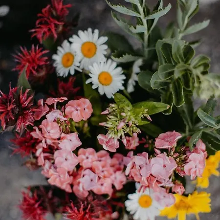 Hotel Landhotel Rosenschanke 3*