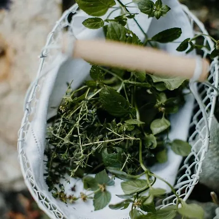 Landhotel Rosenschanke Kreischa