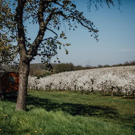 Hotel Landhotel Rosenschanke Kreischa