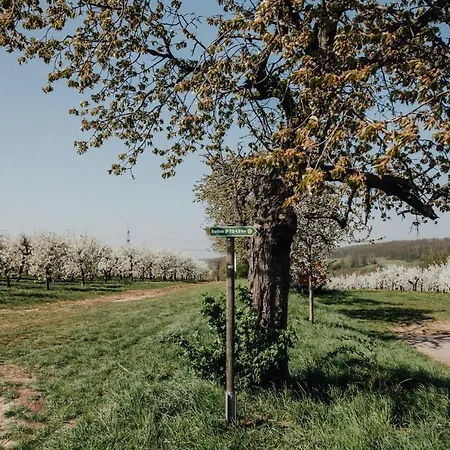 Landhotel Rosenschanke Hotel