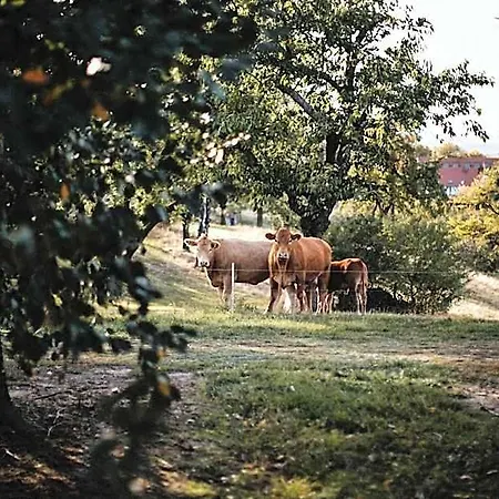Rosenschaenke 3*