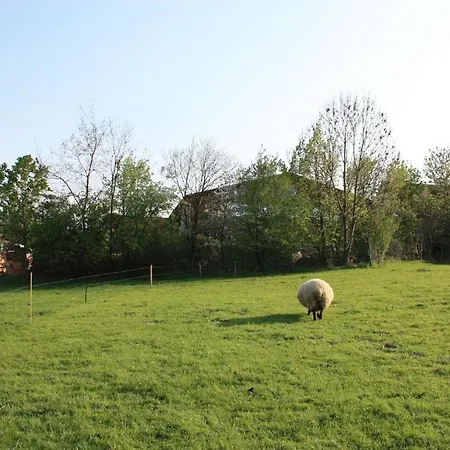 Landhotel Rosenschanke Hotel 3*