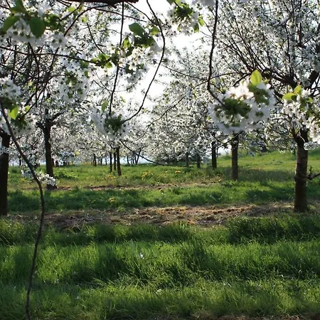 Rosenschaenke מלון Kreischa