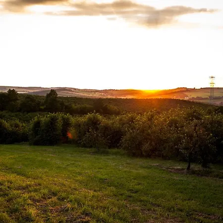 Hotel Landhotel Rosenschanke 3*
