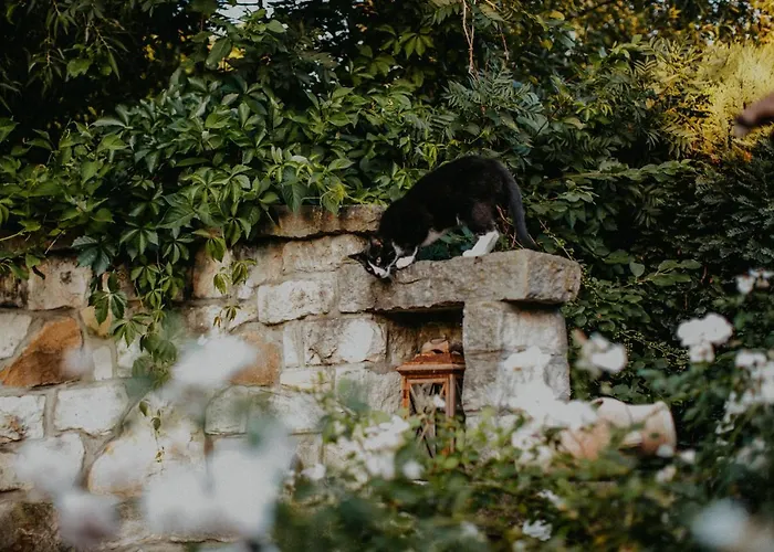 Landhotel Rosenschanke Hotel Kreischa