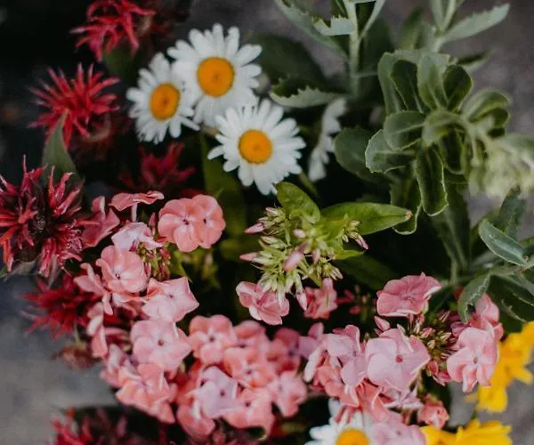 Hotel Landhotel Rosenschanke 3*