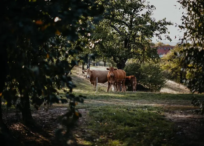 Landhotel Rosenschanke