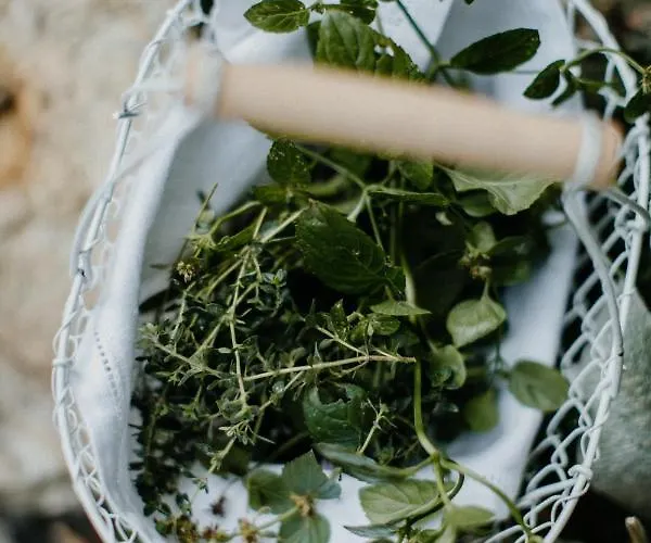 Landhotel Rosenschanke Kreischa