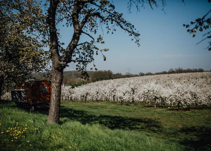 Hotel Landhotel Rosenschanke Kreischa