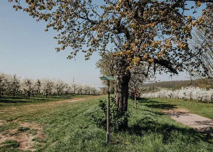 Landhotel Rosenschanke Hotel